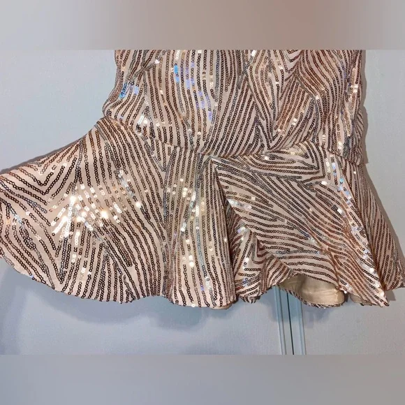 NWT ๐HOST PICK๐ Hello Molly sequin Dress sz L๐ฅณ๐ - Picture 9 of 16